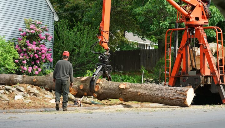 gresham tree service